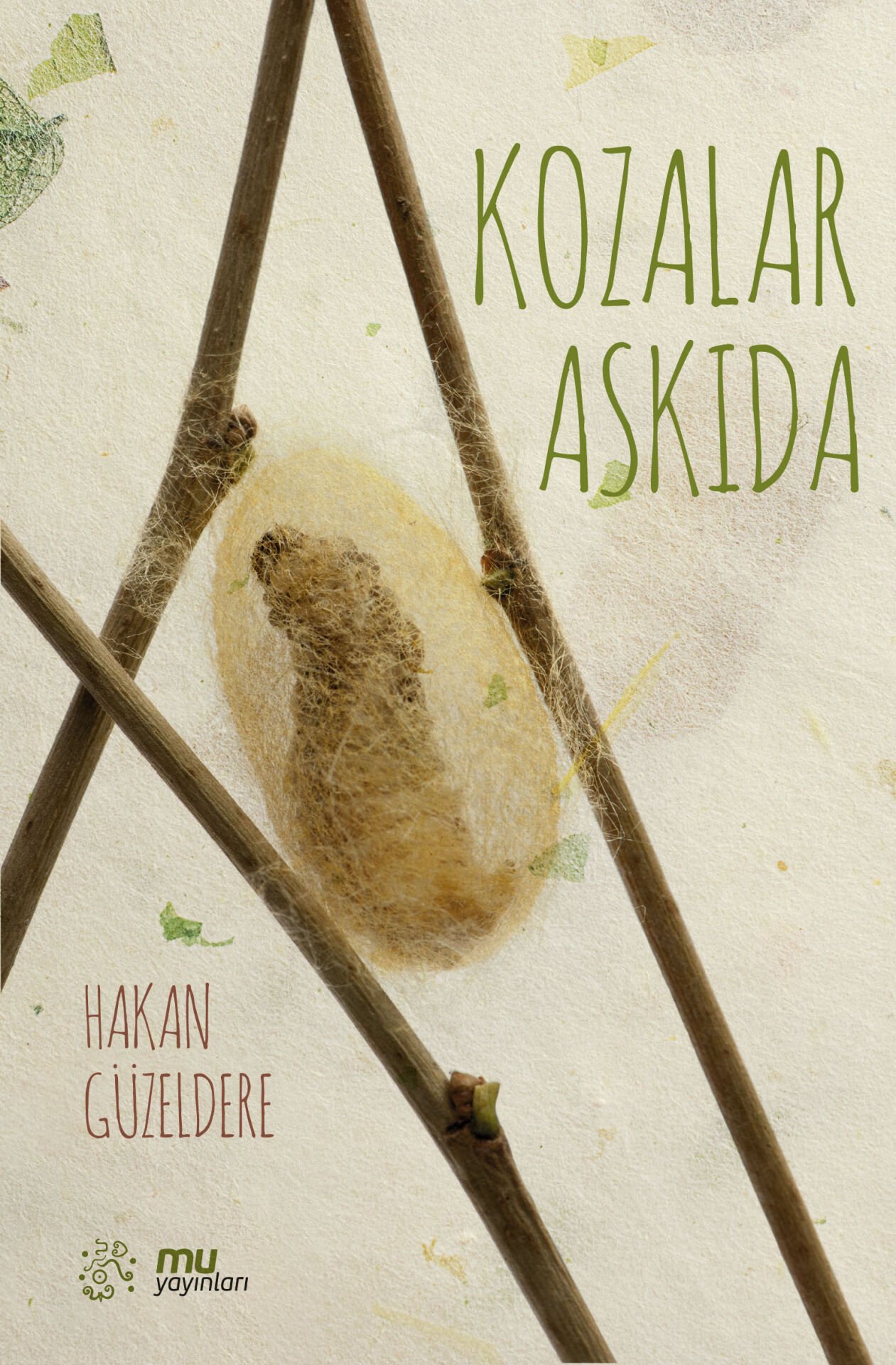 kozalar askıda / hakan güzeldere
