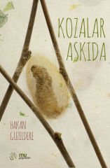 kozalar askıda / hakan güzeldere